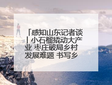 感知山东记者谈丨小石榴撬动大产业 枣庄破局乡村发展难题 书写乡村共富答卷