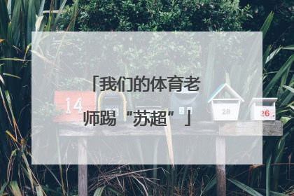 我们的体育老师踢“苏超”