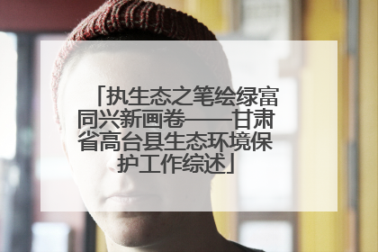 执生态之笔绘绿富同兴新画卷——甘肃省高台县生态环境保护工作综述