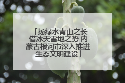 扬绿水青山之长 借冰天雪地之势 内蒙古根河市深入推进生态文明建设