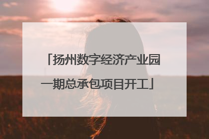 扬州数字经济产业园一期总承包项目开工