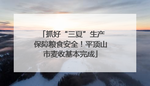 抓好“三夏”生产 保障粮食安全！平顶山市麦收基本完成
