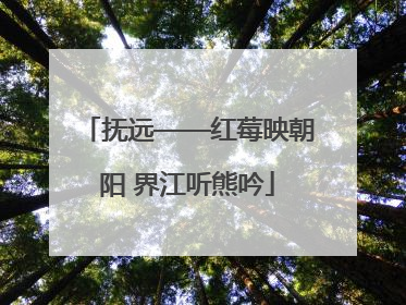 抚远——红莓映朝阳 界江听熊吟