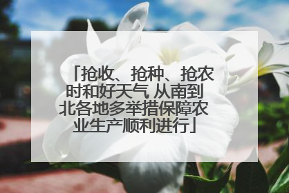 抢收、抢种、抢农时和好天气 从南到北各地多举措保障农业生产顺利进行