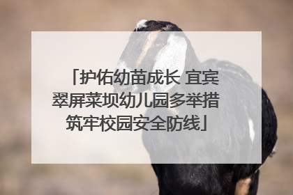 护佑幼苗成长 宜宾翠屏菜坝幼儿园多举措筑牢校园安全防线