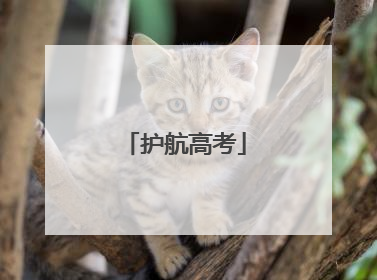护航高考