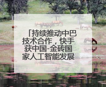 持续推动中巴技术合作，快手获中国-金砖国家人工智能发展与合作中心驻巴西成果转化中心授牌