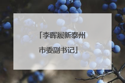 李晖履新泰州市委副书记
