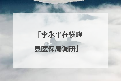 李永平在横峰县医保局调研