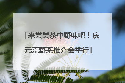 来尝尝茶中野味吧！庆元荒野茶推介会举行