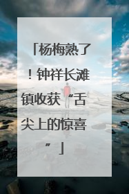 杨梅熟了！钟祥长滩镇收获“舌尖上的惊喜”