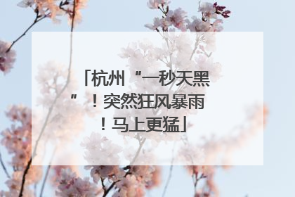 杭州“一秒天黑”！突然狂风暴雨！马上更猛