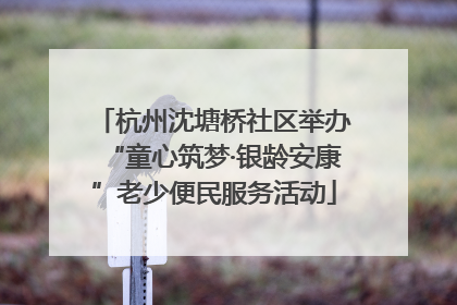 杭州沈塘桥社区举办“童心筑梦·银龄安康”老少便民服务活动