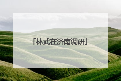林武在济南调研
