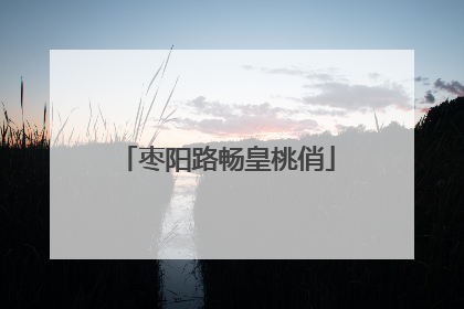 枣阳路畅皇桃俏