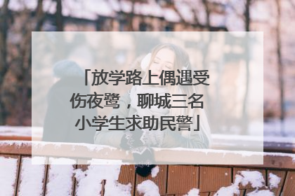 放学路上偶遇受伤夜鹭，聊城三名小学生求助民警