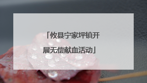 攸县宁家坪镇开展无偿献血活动