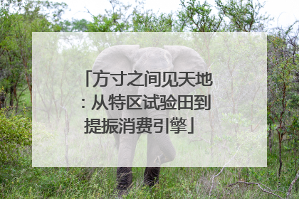 方寸之间见天地：从特区试验田到提振消费引擎