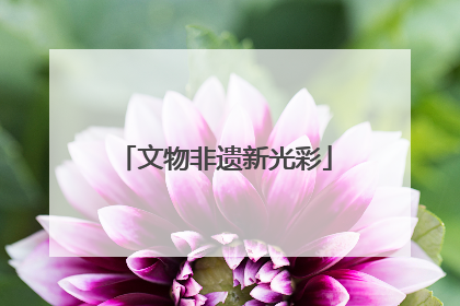 文物非遗新光彩