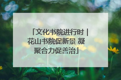 文化书院进行时｜花山书院促新景 凝聚合力促善治