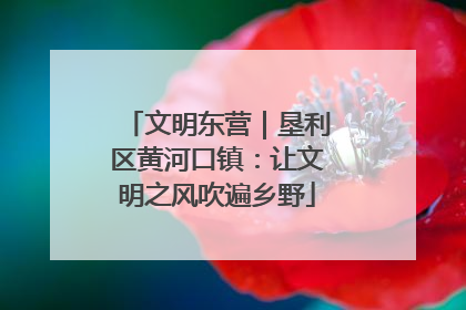 文明东营｜垦利区黄河口镇：让文明之风吹遍乡野