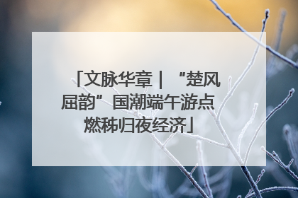 文脉华章｜“楚风屈韵”国潮端午游点燃秭归夜经济