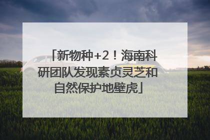 新物种+2！海南科研团队发现素贞灵芝和自然保护地壁虎