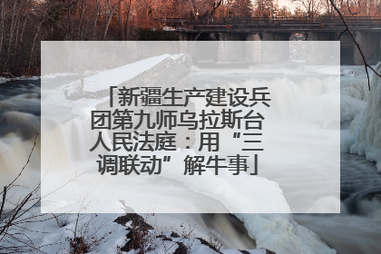 新疆生产建设兵团第九师乌拉斯台人民法庭：用“三调联动”解牛事