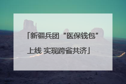 新疆兵团“医保钱包”上线 实现跨省共济