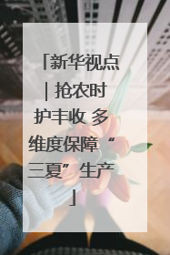 新华视点｜抢农时 护丰收 多维度保障“三夏”生产