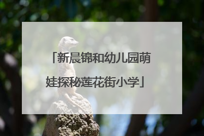 新晨锦和幼儿园萌娃探秘莲花街小学