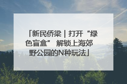 新民侨梁｜打开“绿色盲盒” 解锁上海郊野公园的N种玩法