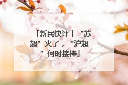 新民快评丨“苏超”火了，“沪超”何时接棒