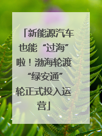 新能源汽车也能“过海”啦！渤海轮渡“绿安通” 轮正式投入运营