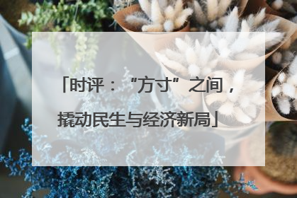 时评：“方寸”之间，撬动民生与经济新局