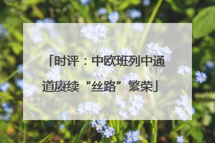 时评：中欧班列中通道赓续“丝路”繁荣