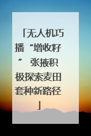 无人机巧播“增收籽” 张掖积极探索麦田套种新路径
