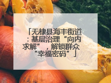 无棣县海丰街道：基层治理“向内求解”，解锁群众“幸福密码”
