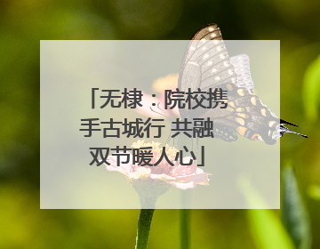 无棣：院校携手古城行 共融双节暖人心