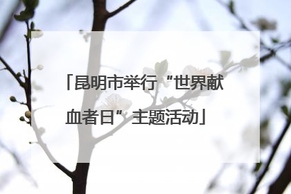 昆明市举行“世界献血者日”主题活动