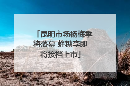 昆明市场杨梅季将落幕 蜂糖李即将接档上市