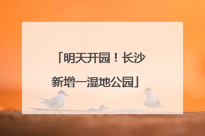 明天开园！长沙新增一湿地公园