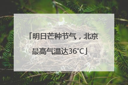 明日芒种节气，北京最高气温达36℃