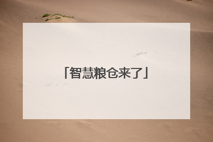 智慧粮仓来了