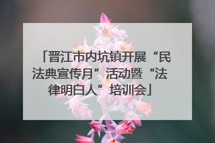 晋江市内坑镇开展“民法典宣传月”活动暨“法律明白人”培训会