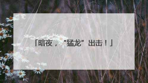 暗夜，“猛龙”出击！