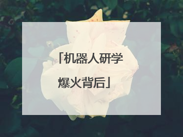 机器人研学爆火背后