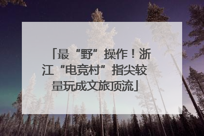 最“野”操作！浙江“电竞村”指尖较量玩成文旅顶流