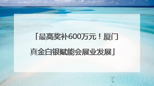 最高奖补600万元！厦门真金白银赋能会展业发展