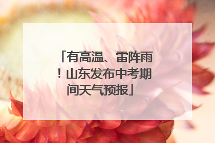 有高温、雷阵雨！山东发布中考期间天气预报